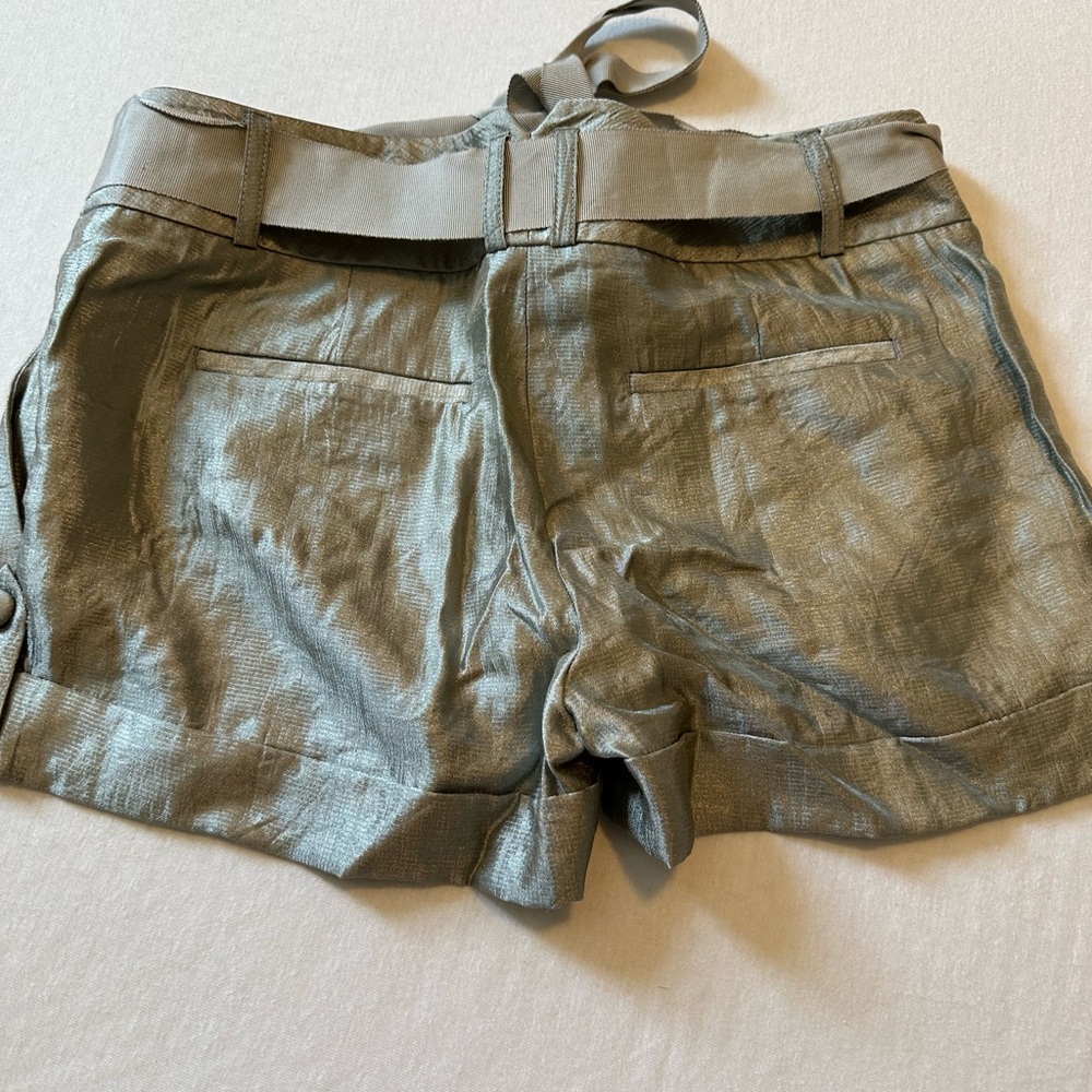 Express metallic shorts in size 0 - Picture 2 of 4